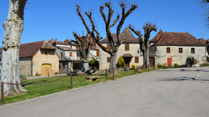 Vétérinaire de Garde Guyancourt